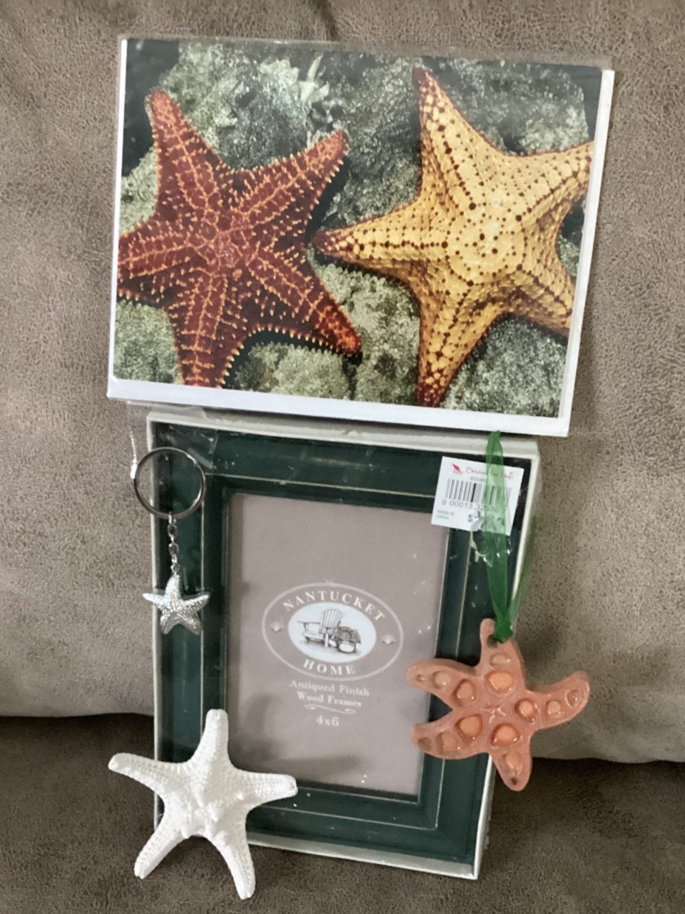 Starfish lovers lot -photo ,mini starfish , keychain, ornament